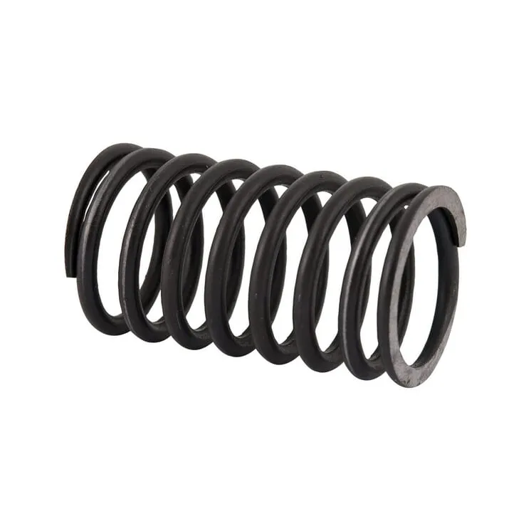Head valve spring, inner  89005502N AGRALV
