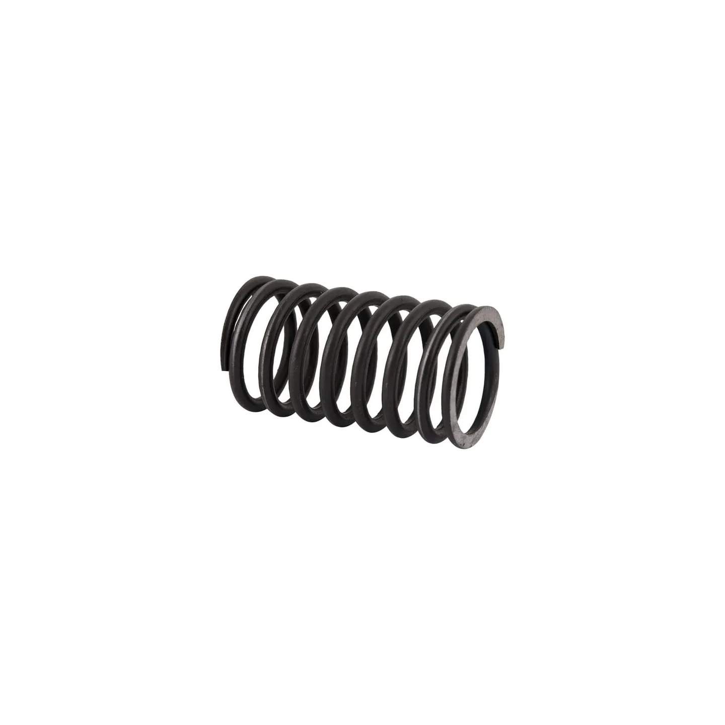Head valve spring, inner  89005502N AGRALV
