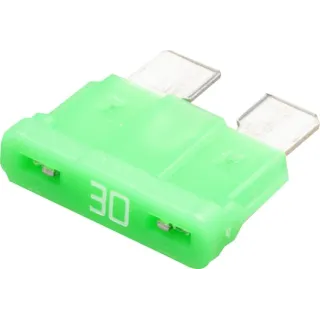Fuse 30A  8JS711690002P001 AGRALV