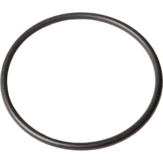 Seal ring  86977781N AGRALV