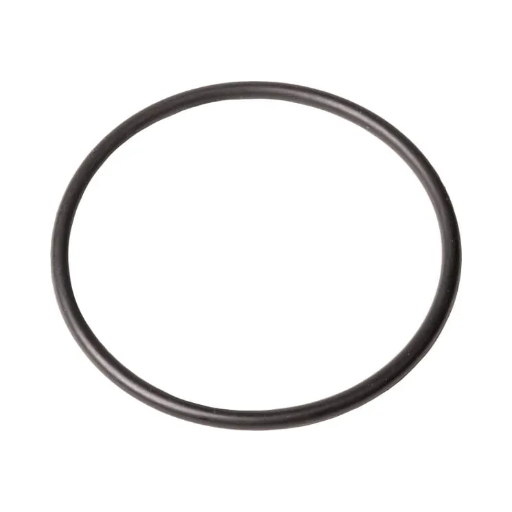 Seal ring  86977781N AGRALV