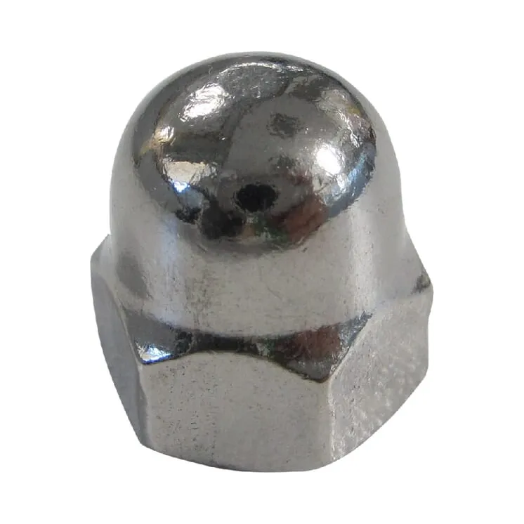 Bucket blind nut  920008124N AGRALV
