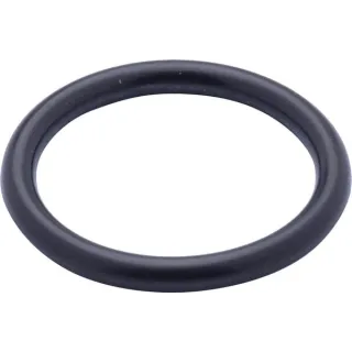 O-ring  9827059N AGRALV