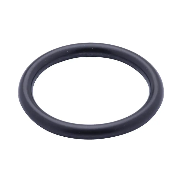 O-ring  9827059N AGRALV