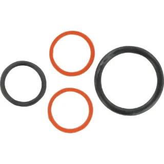 Cartridge Seal kit-Series 10  CP9410002 AGRALV