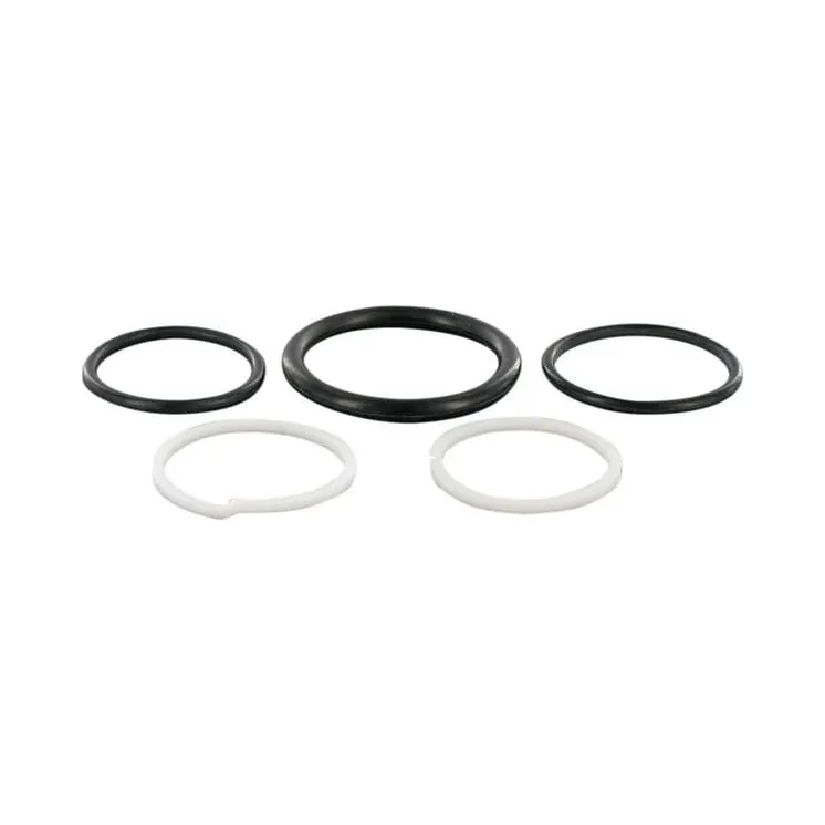 Cartridge Seal kit-Series 12  CP9412006 AGRALV