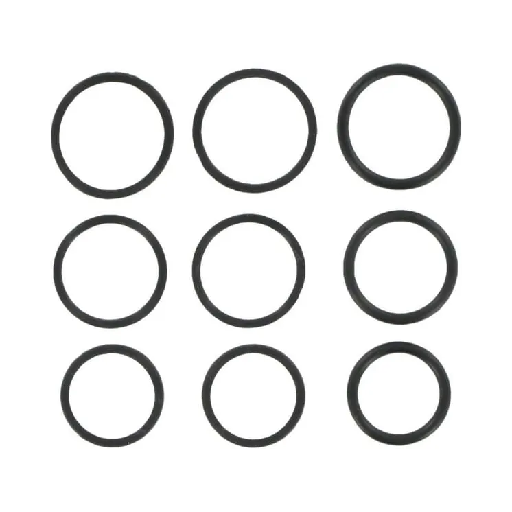 Kārtridžu blīvējuma komplekts-Sērija 10 CP9410008 AGRALV