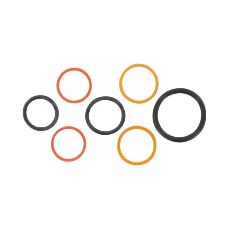 Cartridge Seal kit-Series 10  CP9410003 AGRALV