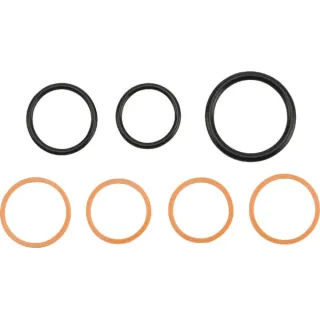 Cartridge Seal kit-Series 10  CP9410007 AGRALV