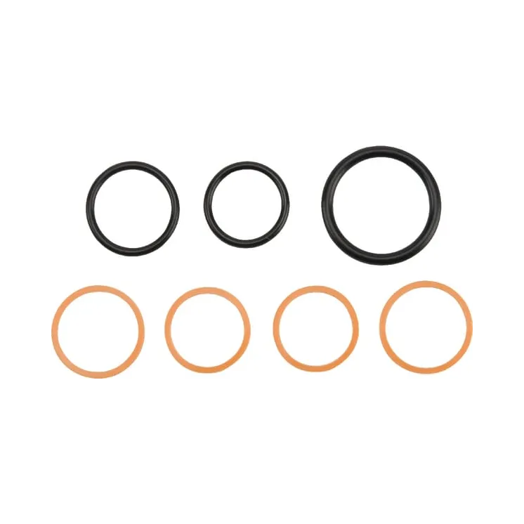 Cartridge Seal kit-Series 10  CP9410007 AGRALV