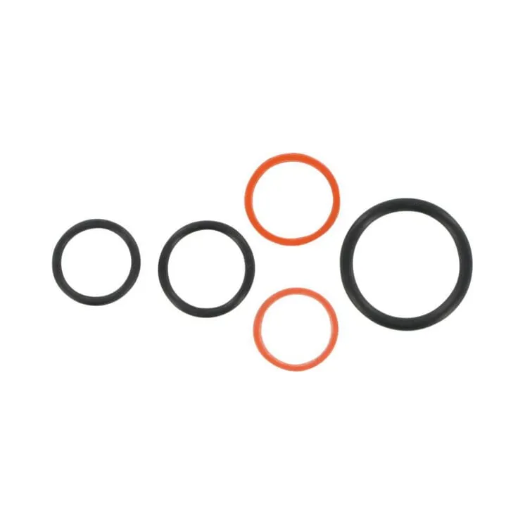 Cartridge Seal kit-Series 10  CP9410004 AGRALV