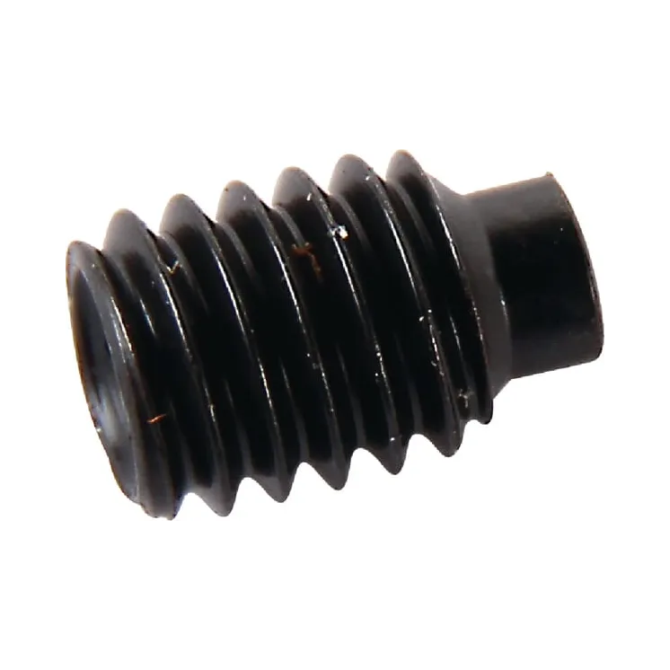 Grub screw with hexagon socket  CLZV2SCH AGRALV