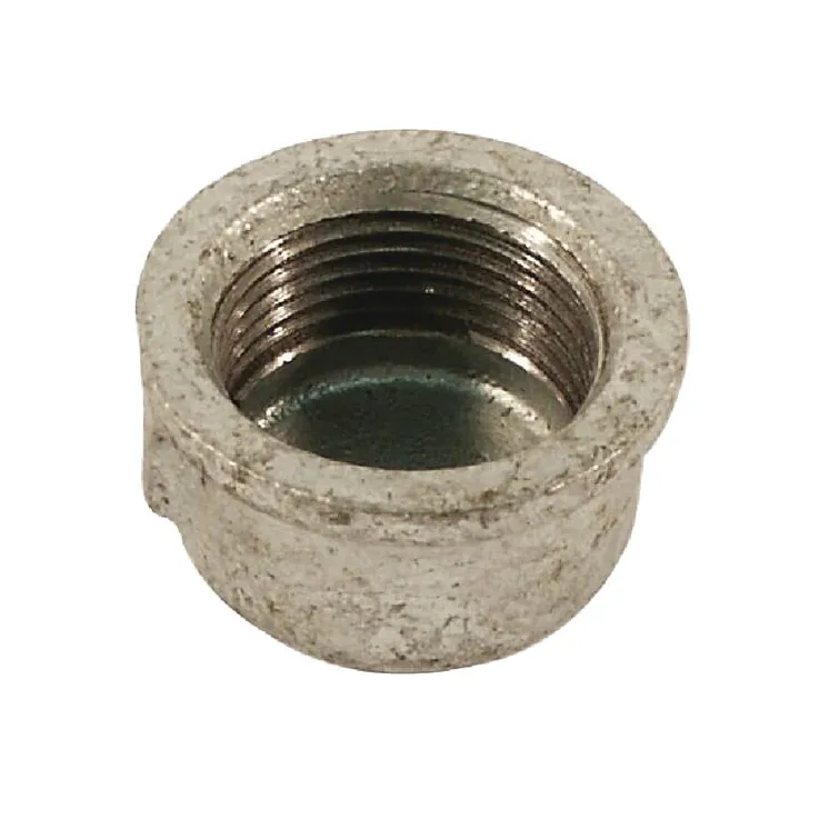 Plug round galv. female 1 1/2  FG301112 AGRALV