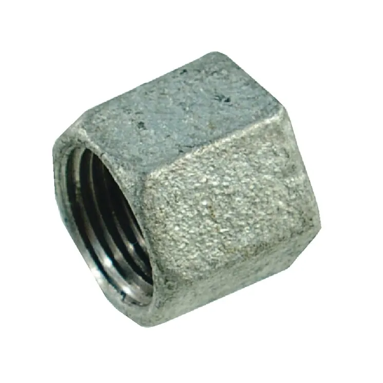 Hexagonal plug galv. 1  FG3001 AGRALV