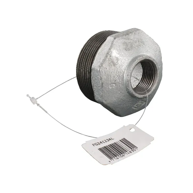 Adapteris vīrišķais/sieviete 2x3/4 FG241234L AGRALV