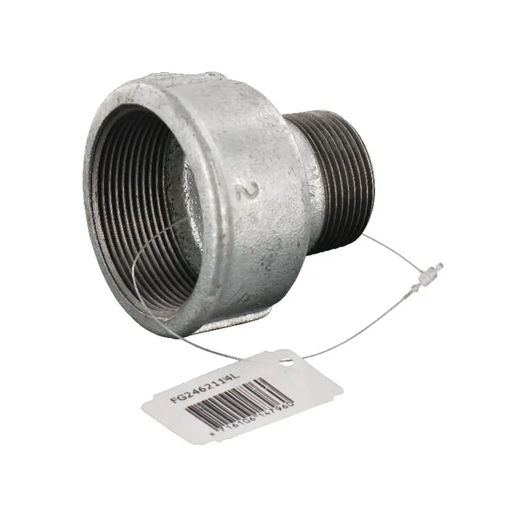 Adapteris sieviešu/vīriešu 2x1 1/4 FG2462114L AGRALV