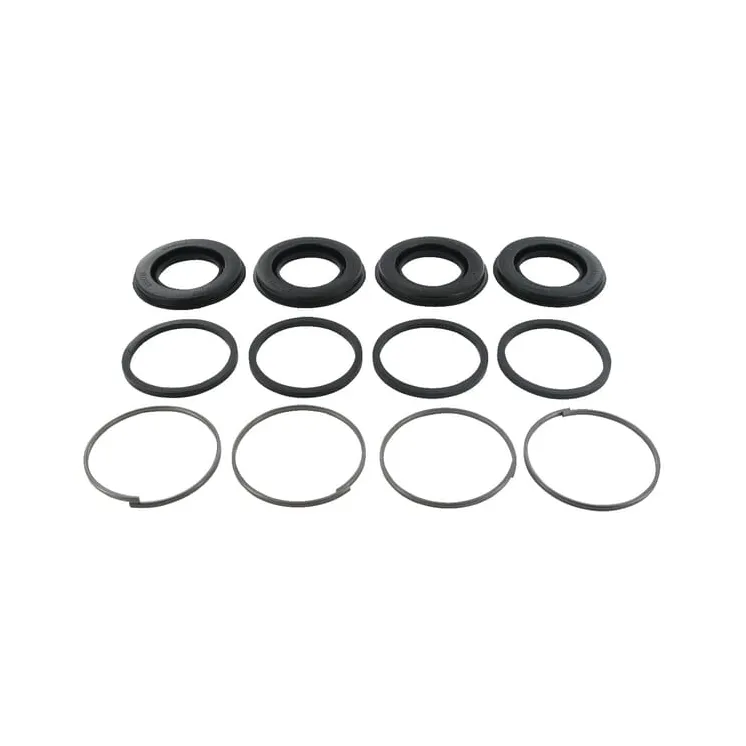 Repair kit brake caliper  F178107070080N AGRALV