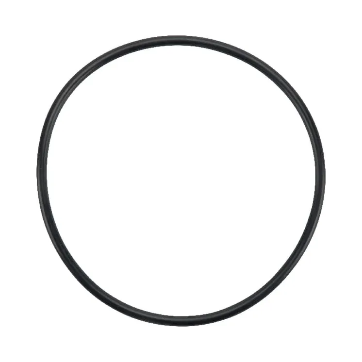 Water pump gasket  F312200610020N AGRALV
