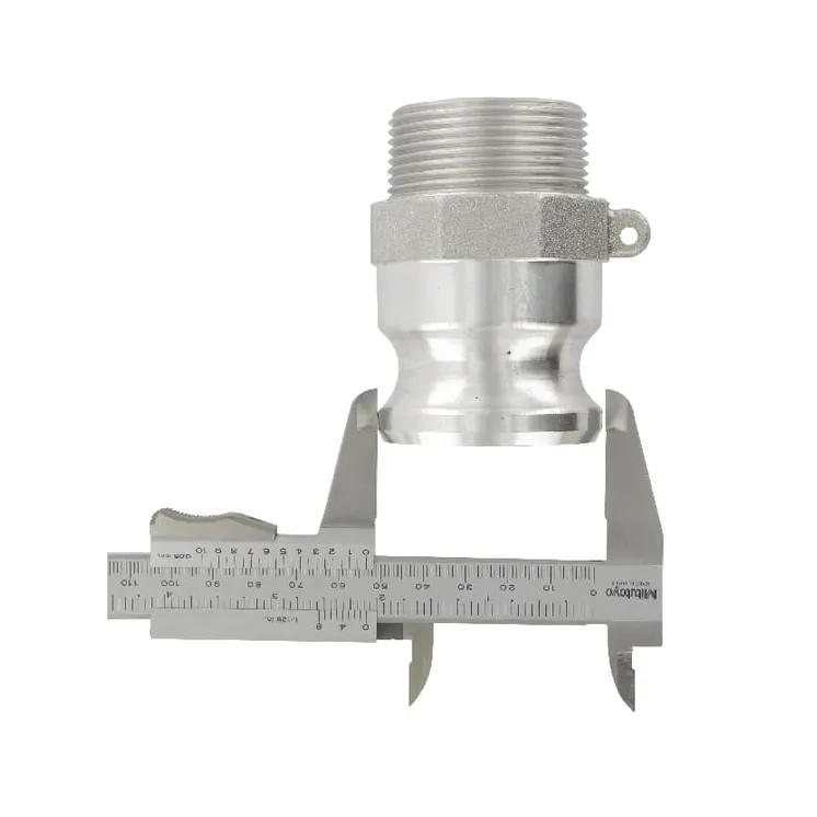 Camlock female 3/4 Male Stainless steel  HCN100FSS019 AGRALV