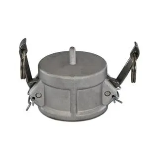 Camlock G 1'' Female. cap Stainless steel  HCN100GSS025 AGRALV