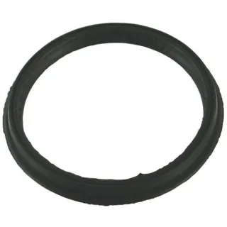Suction/pressure gasket Storz 100 (pawl 115mm)  HD217083 AGRALV