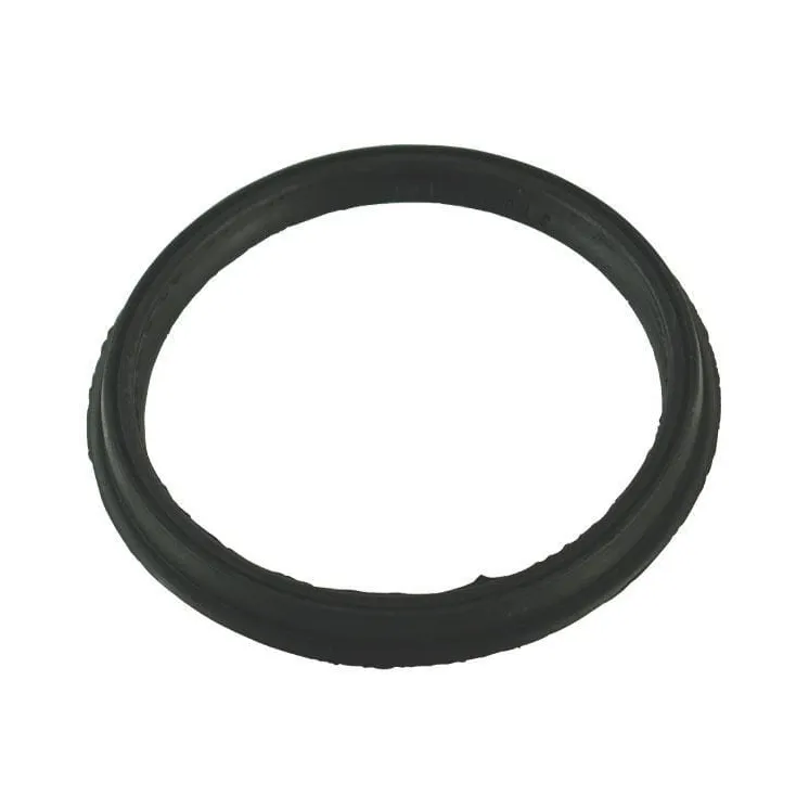 Suction/pressure gasket Storz 100 (pawl 115mm)  HD217083 AGRALV