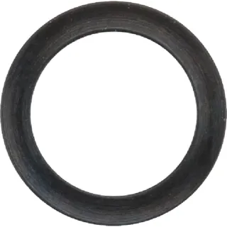 Support ring 10 mm  HD79058 AGRALV