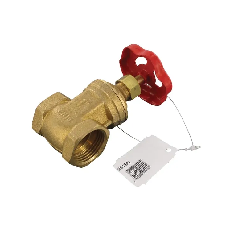 Gate valve BSP 1 female  MS1SAL AGRALV