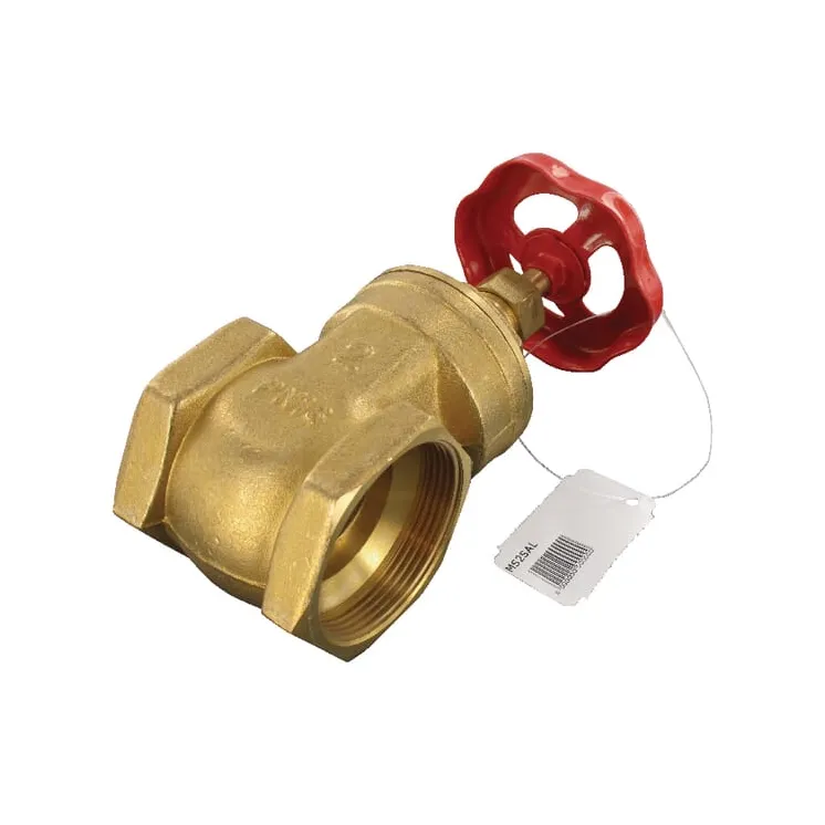 Gate valve BSP 2 female  MS2SA AGRALV MS2