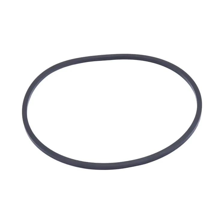 Gasket  R34733N AGRALV