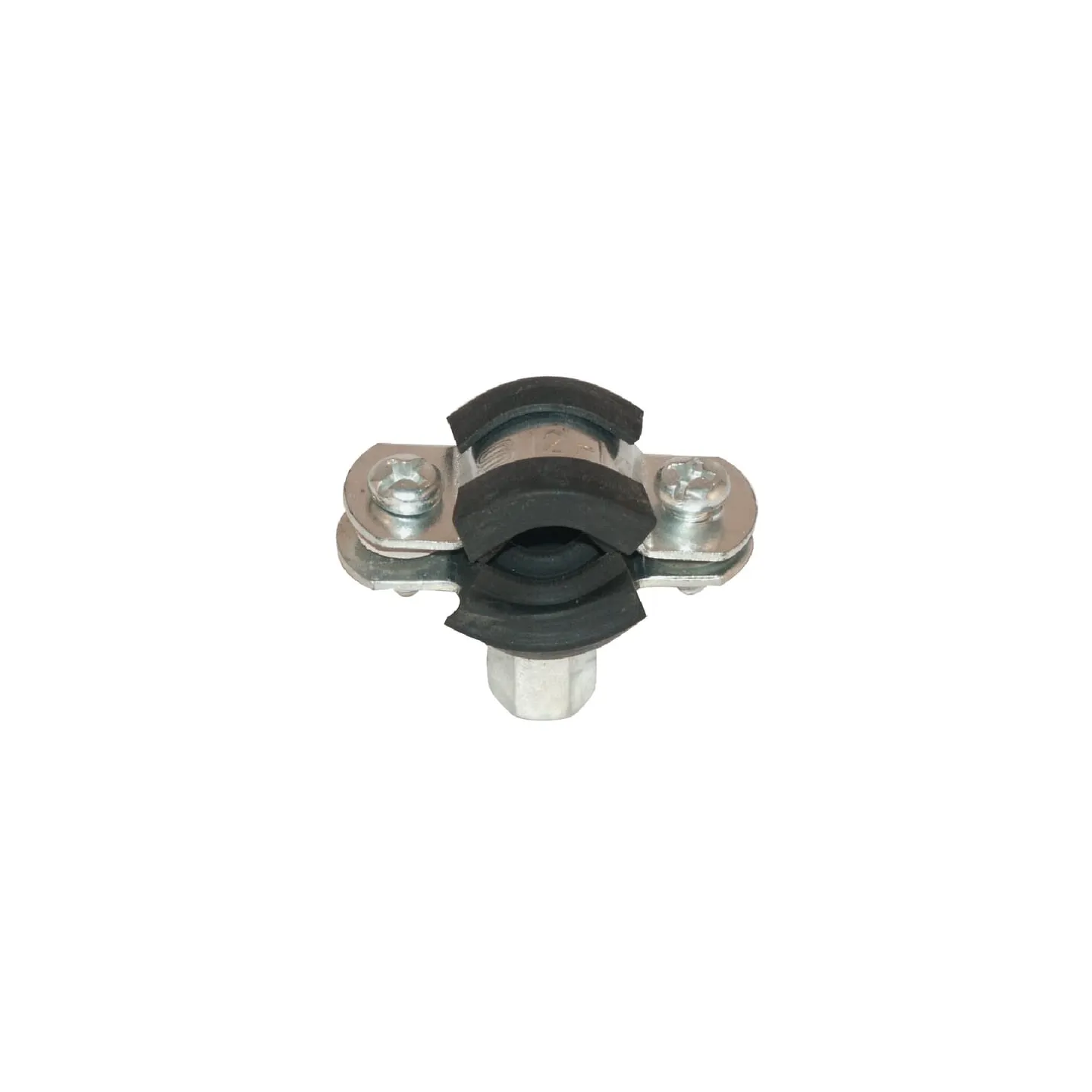 Pipe clamp Female inox S.S. 48-53mm  RS24446RVS AGRALV RVS80023