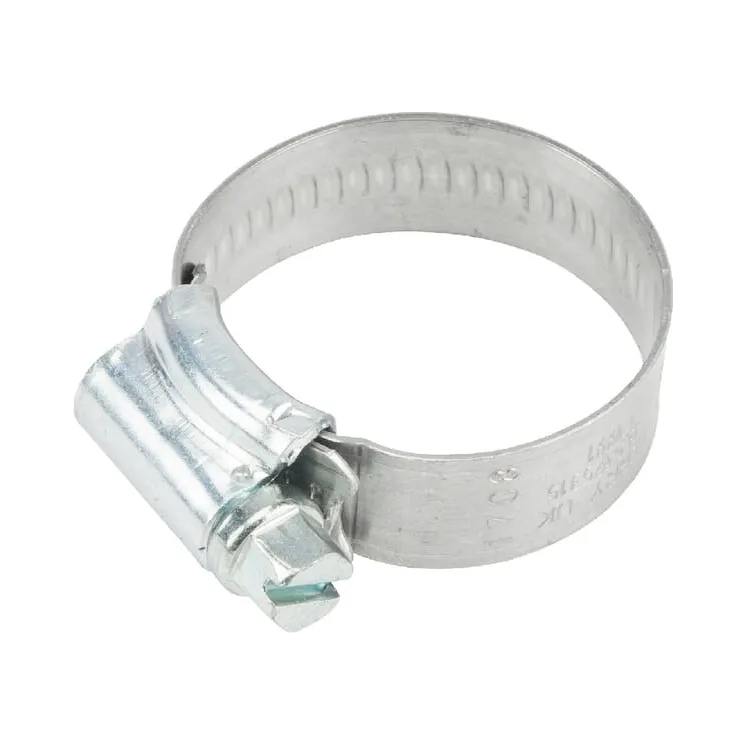 Šļūtenes skava 22-30 Hi-grip RVS2230HCS AGRALV RVS2230JCS
