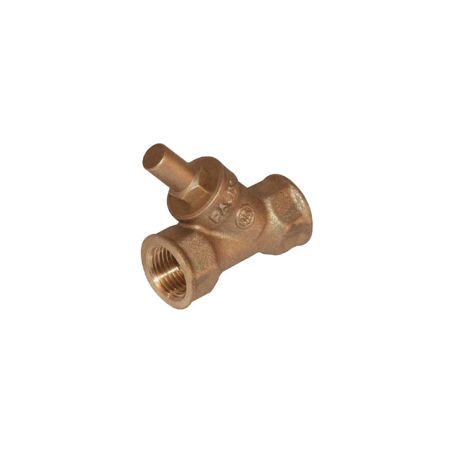 RV check valve 1 1/4  RV114 AGRALV