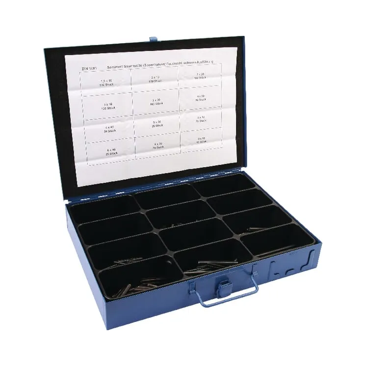 Roll pin assortment in metal box  SE1481B AGRALV