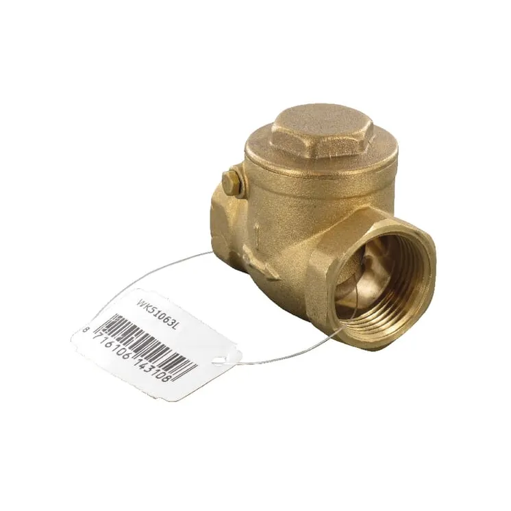 Horizontal check valve 1  WK51063L AGRALV