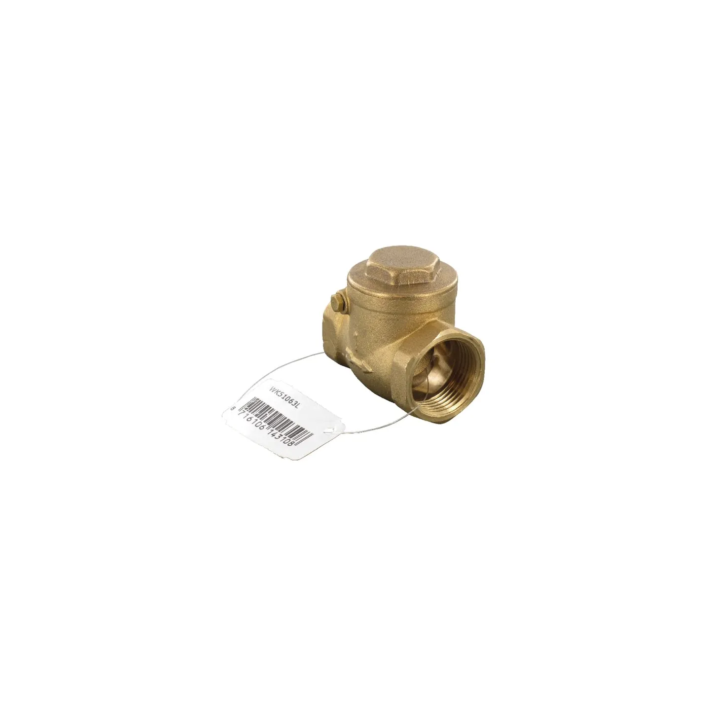 Horizontal check valve 1  WK51063L AGRALV
