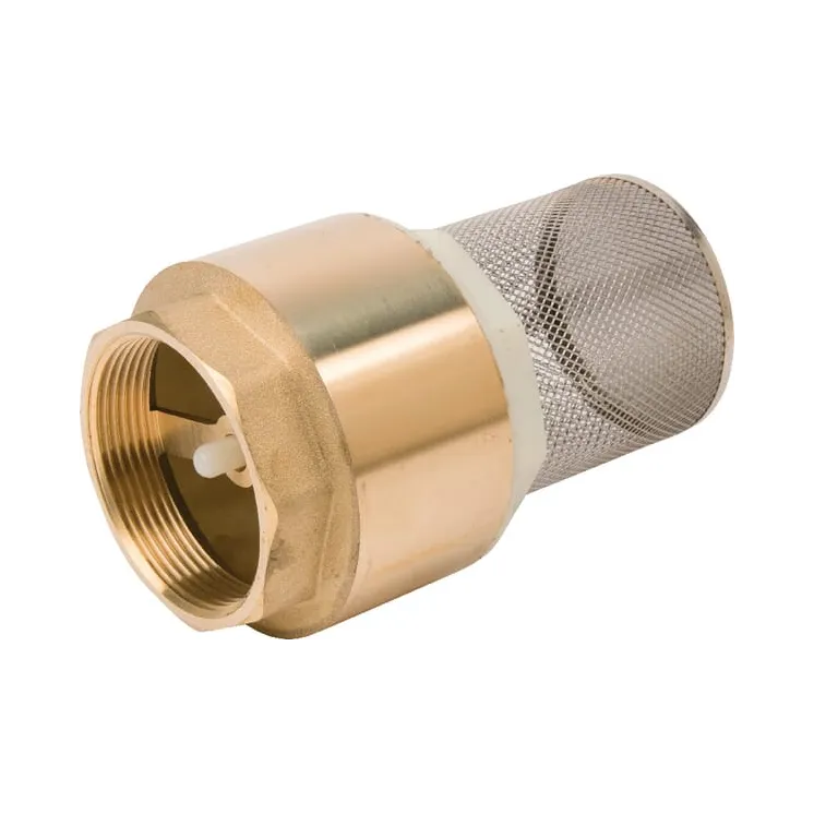 Breather+footvalve 2 S.S.  WK51306 AGRALV 273065