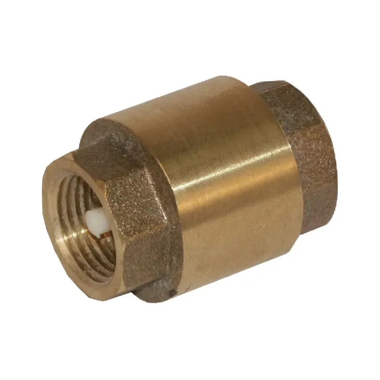 Check valve 4  WK51009 AGRALV