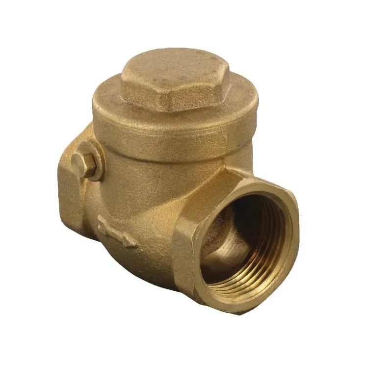Horizontal check valve 2  WK51066 AGRALV