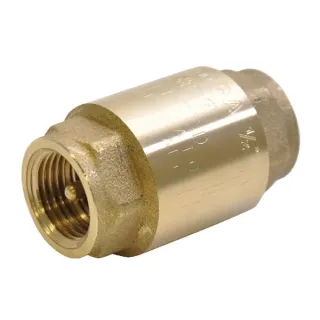 Brass check valve 2  WK51106 AGRALV