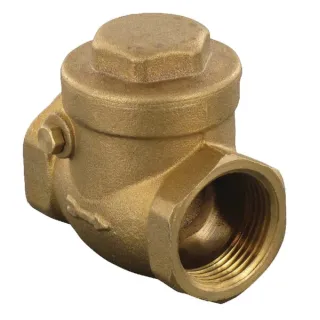 Horizontal check valve 1  WK51063 AGRALV
