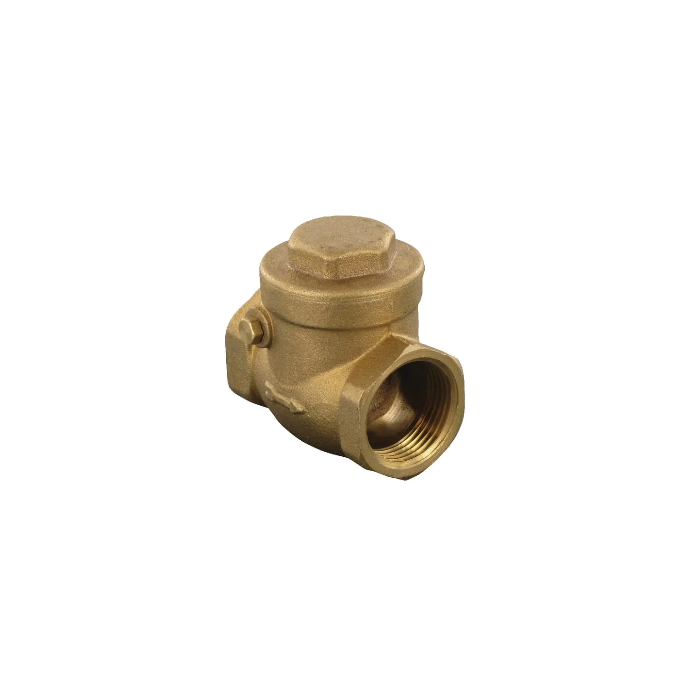Horizontal check valve 1  WK51063 AGRALV