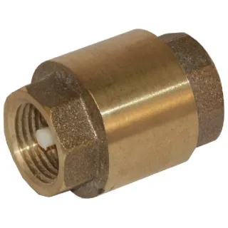 Check valve 1 1/4  WK51004 AGRALV 273015 WK2696