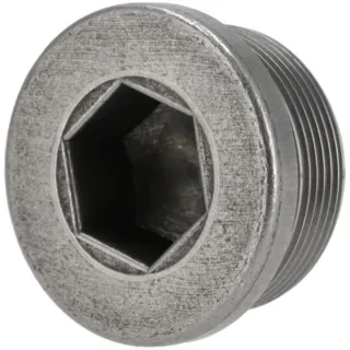 Screw plug  0636302018 ZF
