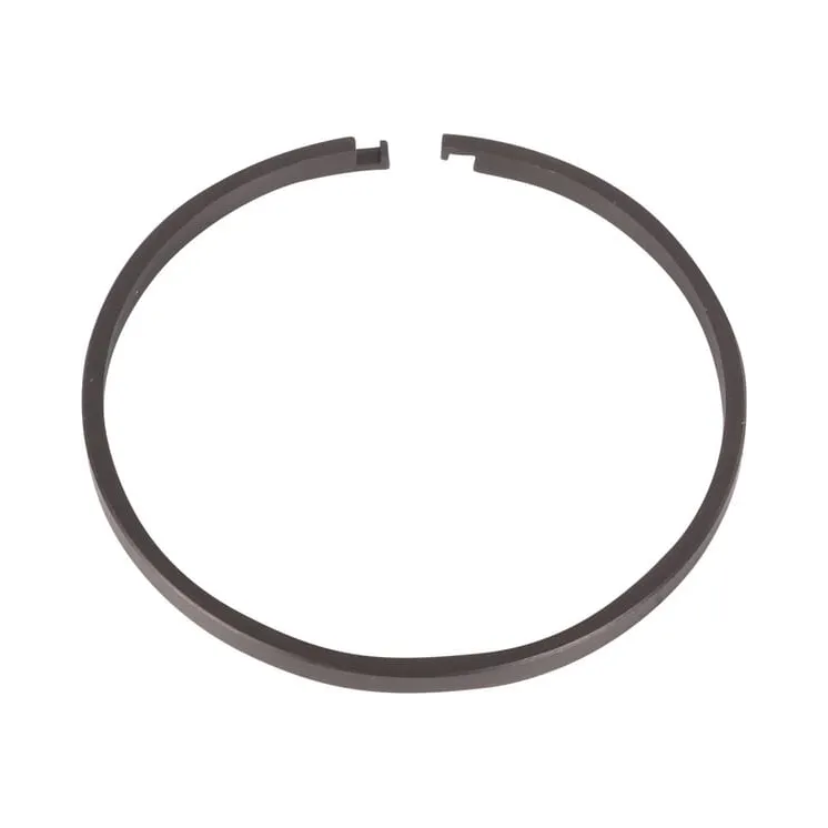 Segment ring  0734401267 ZF