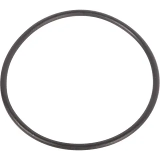 O-ring  0634303968 ZF