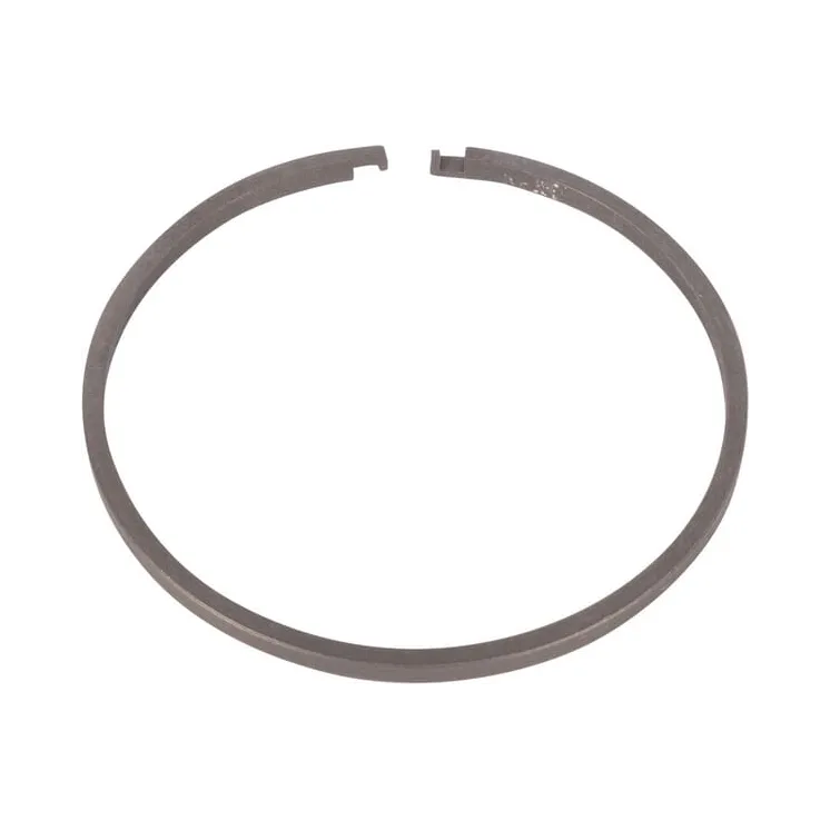 Segment ring  0634402541 ZF