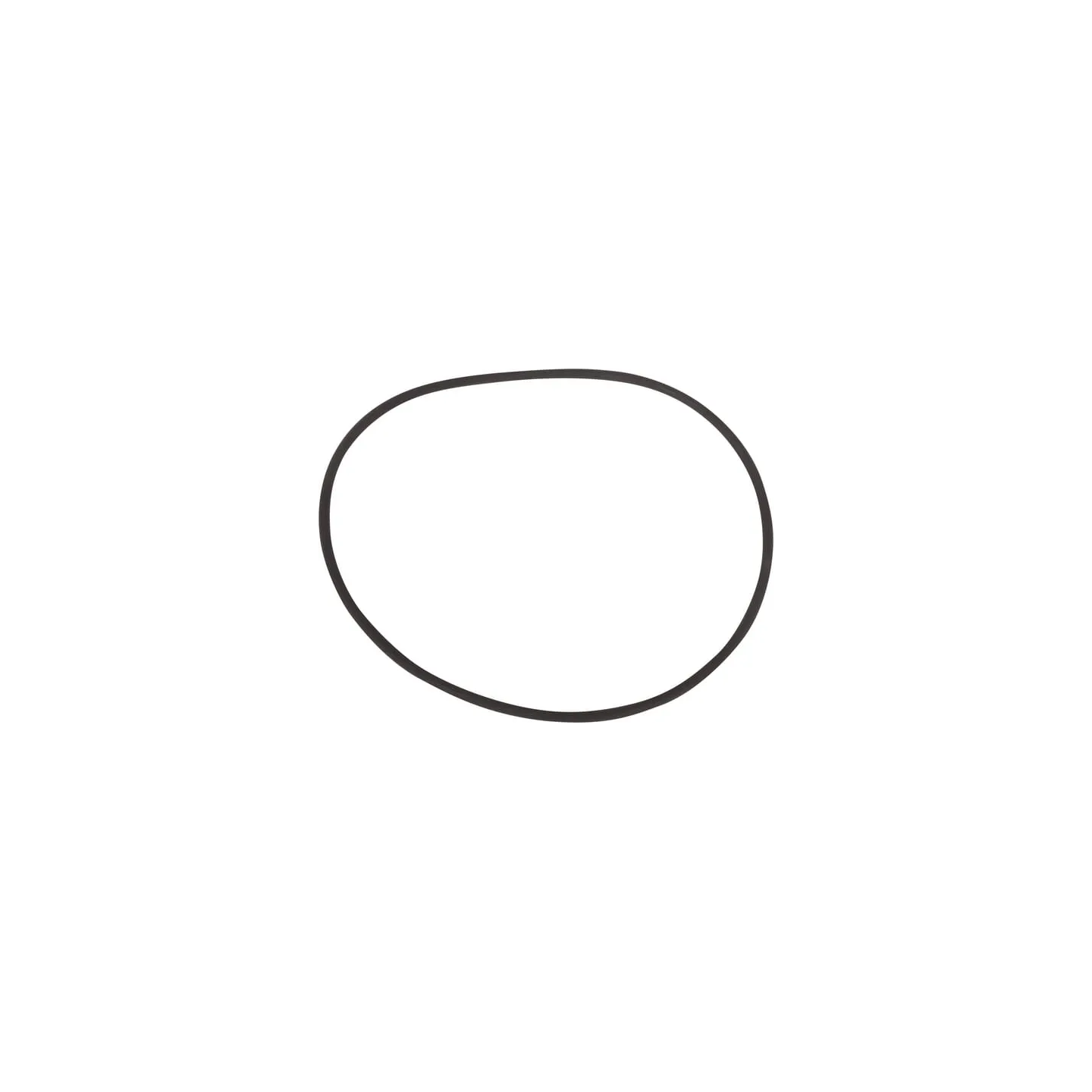 O-ring  0750112211 ZF
