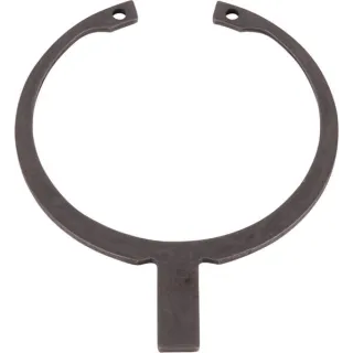 Safety ring  0730502079 ZF