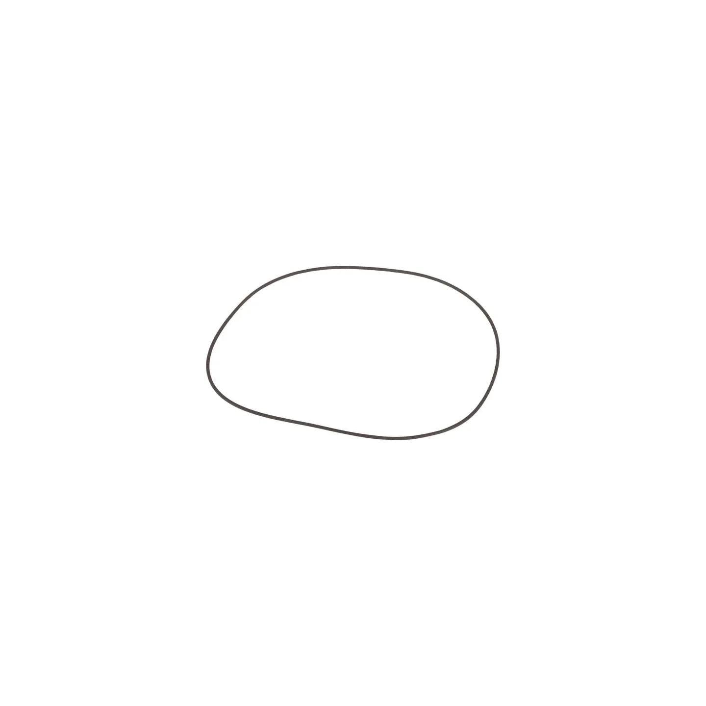 Seal  0634303398 ZF